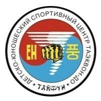 Логотип организации ДЮСЦТ"ТАЙФУН"